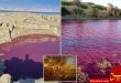 قرمز شدن دریای مرده و شدت گرفتن نظرات علمی و مذهبی درباره آن
