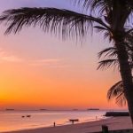 پارک زیتون قشم